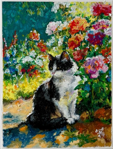 Black and white kitten - black,