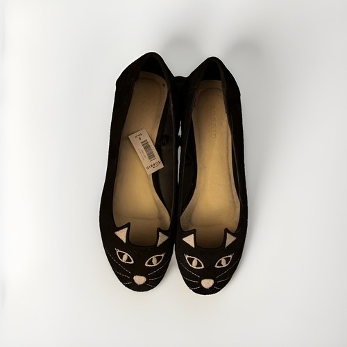 Torrid black cat kitten - cat,