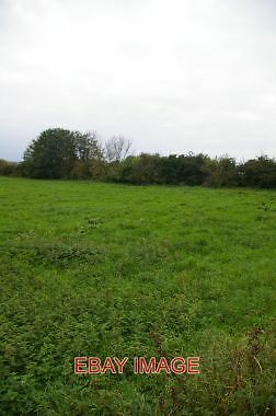 Photo grazing land near - ,