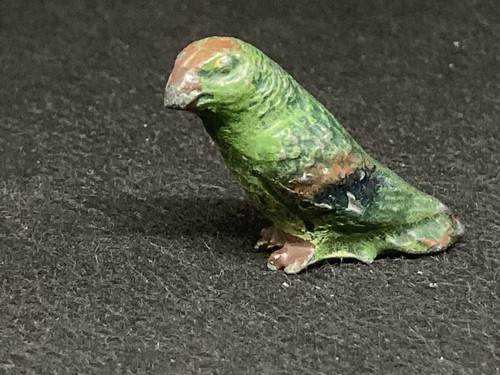 Parrot taylor and barrett - taylor,