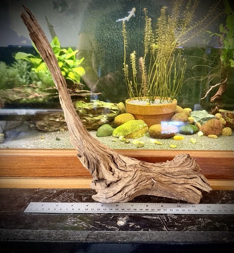 Large aquarium driftwood - large,