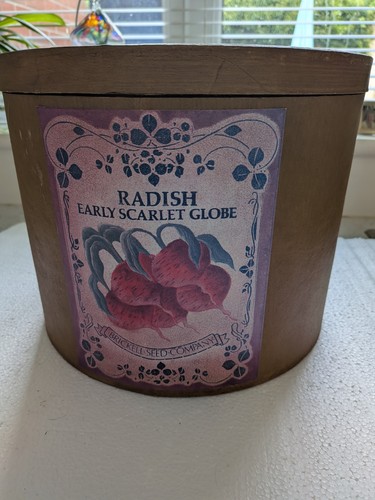 Vintage hat box - vintage,