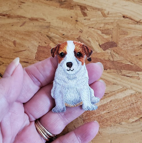 Dog jack russell - -,