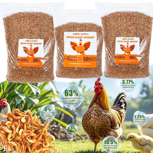Dried river shrimp highprotein - river,