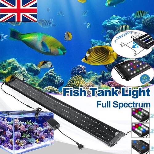 Aquarium fish tank led - fish,