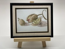 Still Life Framed Glazed Watercolour Horse Chestnut Fruit Conkers 22x27cm