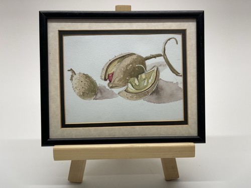 Still life framed glazed - still,