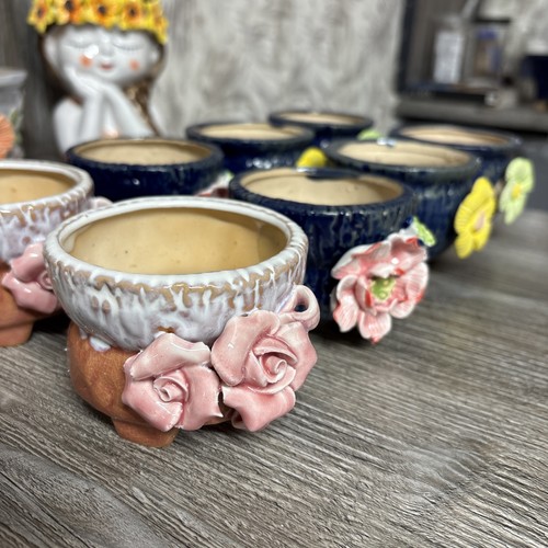 Succulent plant pots - , indoor