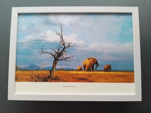 David shepherd print stormy - david, 'stormy