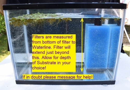Aquarium filter shrimp - aquarium,