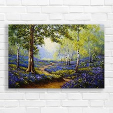 Natural Beauty Spring Forest