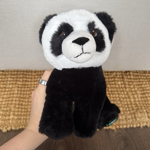 Your planet eco panda - eco,