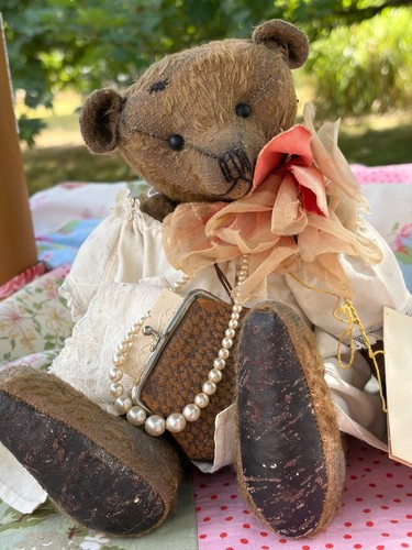 Pertinax bear 1 - bear,, called