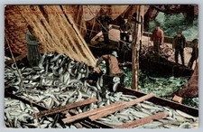 Vintage Alaska Fishing Postcard Breaking Salmon from Trawl Net 1912