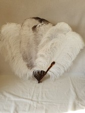 Beautiful  Large Pale Cream