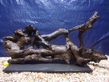 XX-Large Driftwood Mounted on