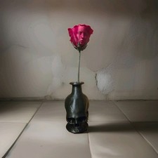The awakened rose with - rose,