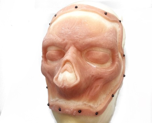 The ghoul fallout - ghoul,