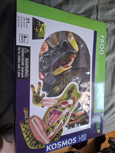 Kosmos frog anatomy model - frog, .(1