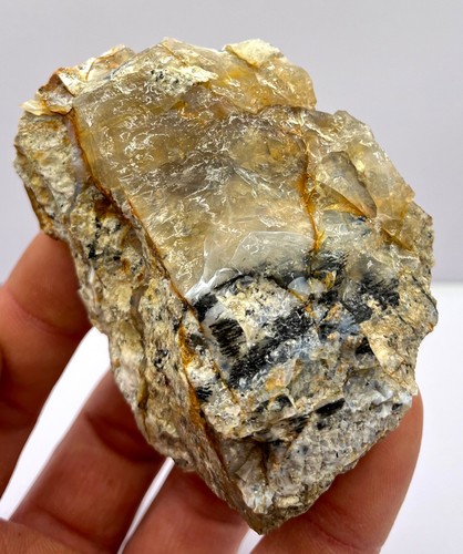 Opal gunheath ccp - opal,, ccp,