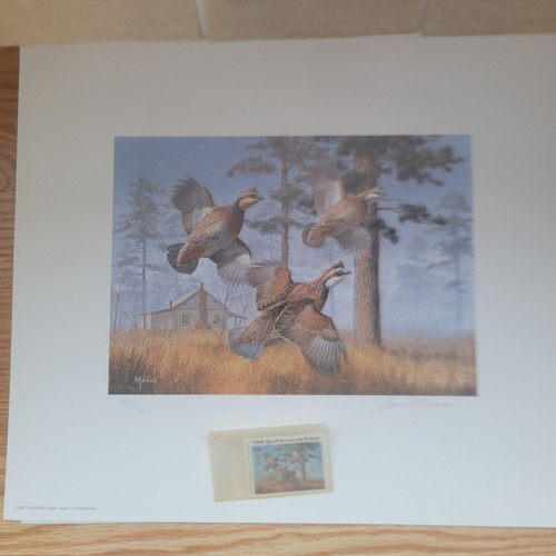 1982 quail foundation research - quail,