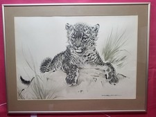 Ralph Thompson Baby Leopard