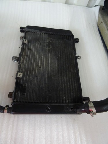 Yamaha fzs 1000 rn06 - 1000,