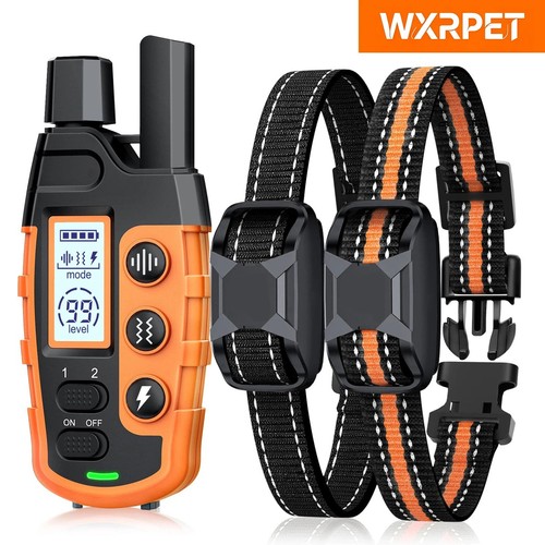 Electric dog training collar - dog,