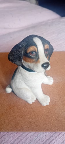 Leonardo jack russell - leonardo,