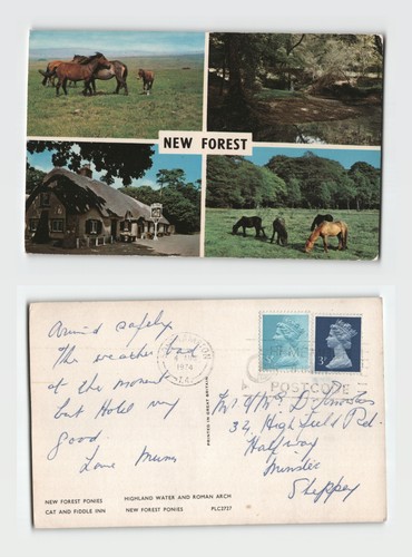 Postcard new forest - postcard,
