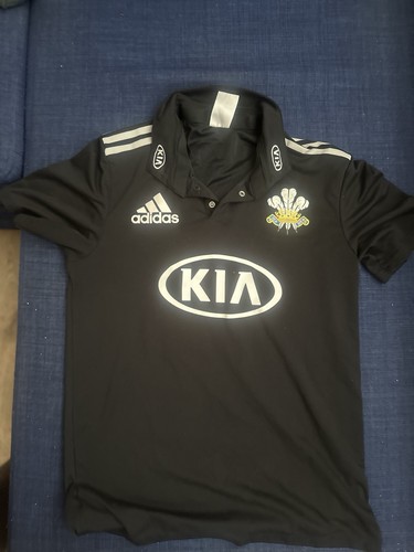 Surrey county cricket - surrey, club