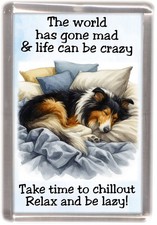 Rough Collie (Lassie) Tri