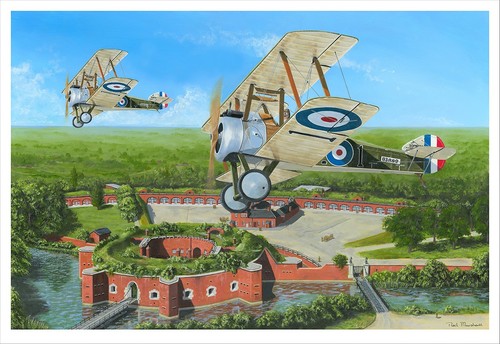 Sopwith camels royal flying - camels, at