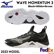 Mizuno Volleyball Shoes WAVE
