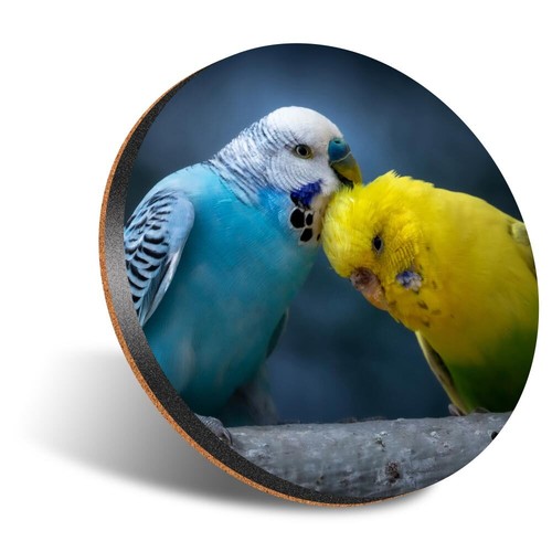 Round coaster 12cm cute - coaster,