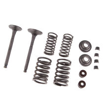 Intake & Exhaust Valves Spring