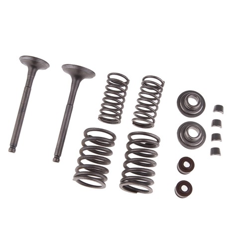 Intake exhaust valves spring - exhaust,