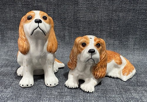 Vintage cavalier king charles - cavalier,