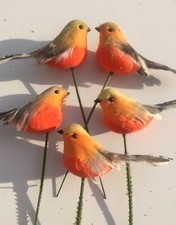 5 Festive Robin Christmas