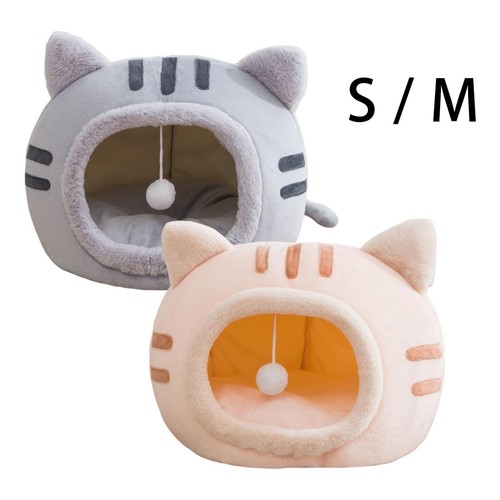 Cute cat sleeping - cute,