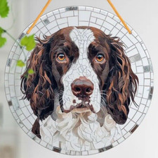 Springer Spaniel Brown LARGE