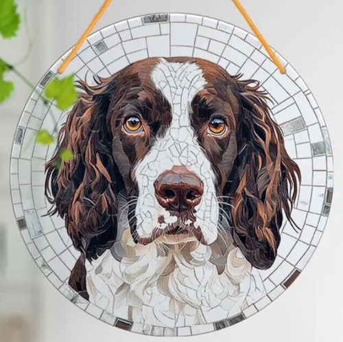 Springer spaniel brown large - springer,