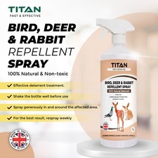 Titan Bird Deer Pigeon Rabbit