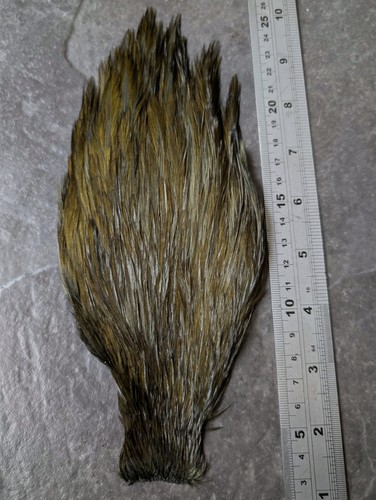 Dark olive chinese cock cape - dark,