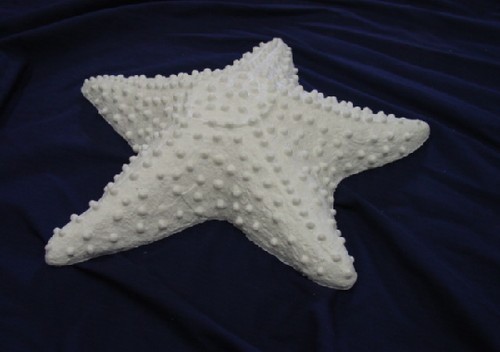 Starfish stepping stone - starfish,