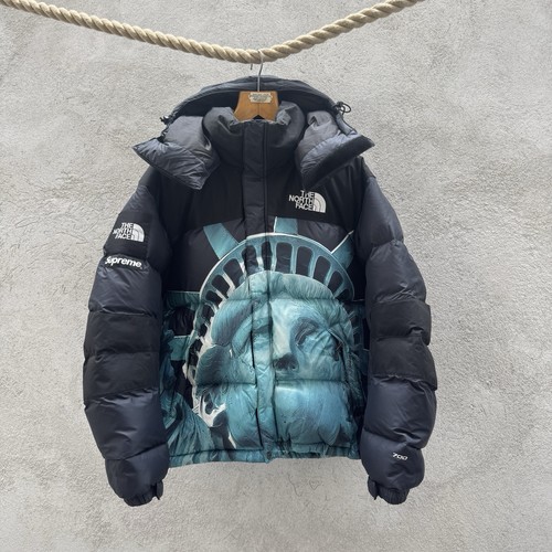 Supreme the north face - the,