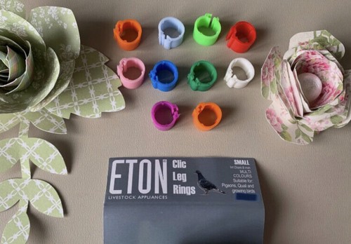 Eton clic universal leg - x,
