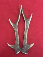PAIR OF SIKA DEER ANTLERS