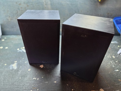 Gale mini monitor 2 - monitor, 2-way