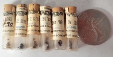Antique watch hair spring - antique,